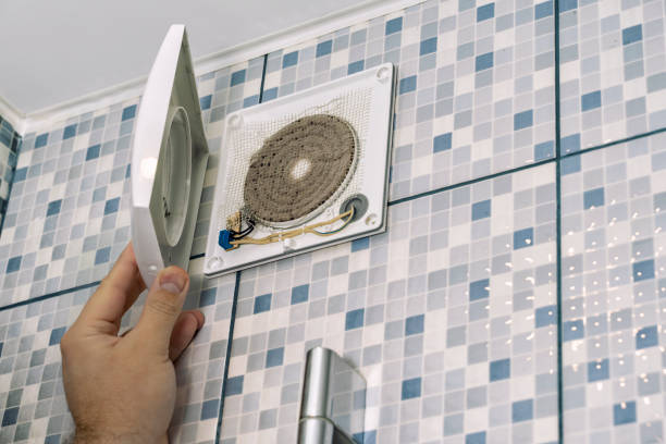 Best Home Air Vent Cleaning  in Tripoli, IA