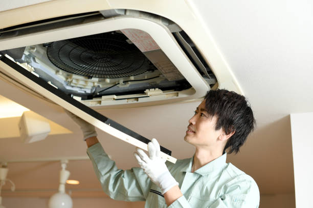 Best Emergency Air Duct Cleaning  in Tripoli, IA
