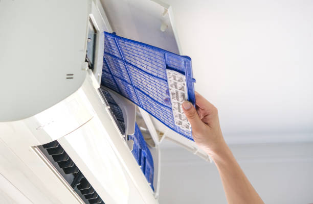 Best Air Duct Mold Removal  in Tripoli, IA