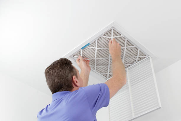 Best Affordable Duct Cleaning Services  in Tripoli, IA